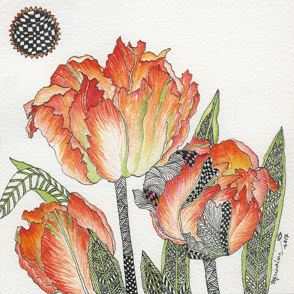 Synergy Parrot Tulips